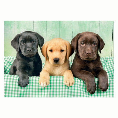 Clementoni puzzel 1000 stukjes three labs