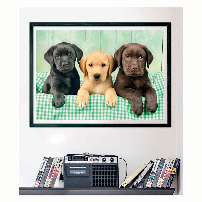 Load image into Gallery viewer, Clementoni legpuzzel three labs, 1000st.
