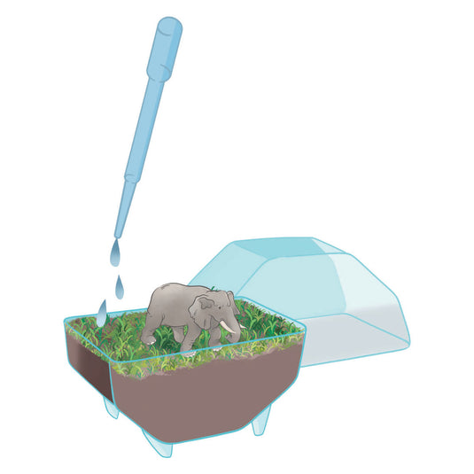 Clementoni wild terrarium olifant | 2 stuks