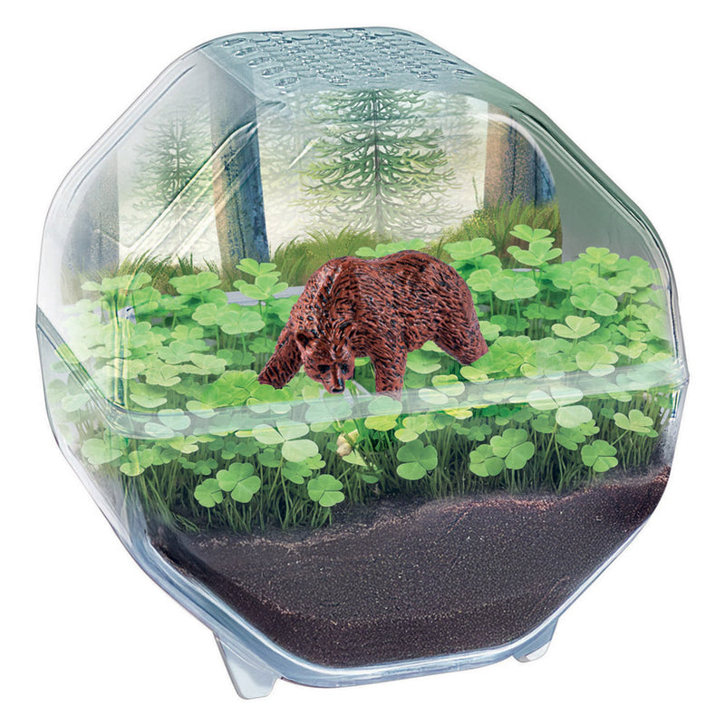 Afbeelding laden in galerijviewer, Clementoni wetenschap spel my wild terrarium - beer
