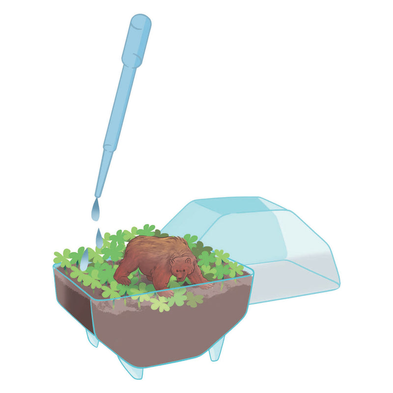 Afbeelding laden in galerijviewer, Clementoni wetenschap spel my wild terrarium - beer
