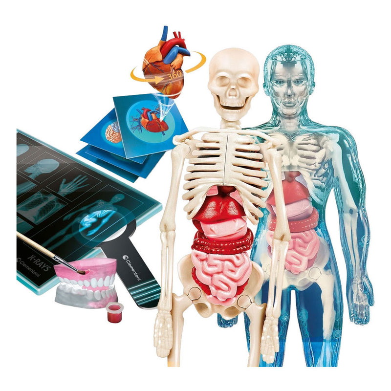Load image into Gallery viewer, Clementoni wetenschap en spel - super anatomie
