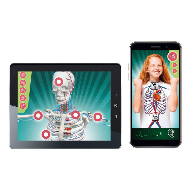 Load image into Gallery viewer, Clementoni wetenschap en spel - super anatomie
