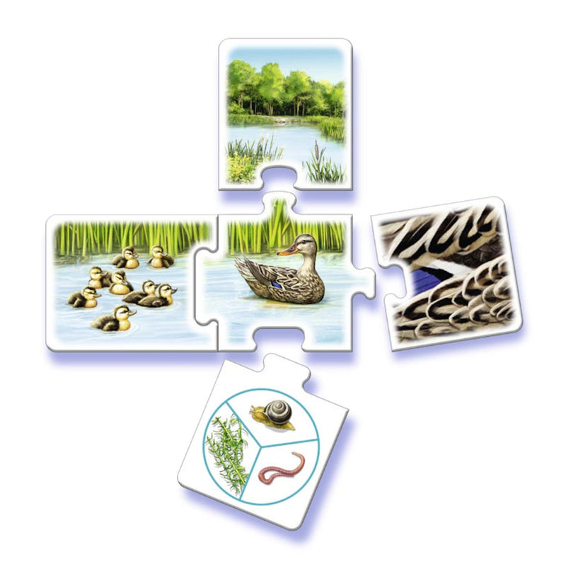 Load image into Gallery viewer, Ravensburger Tiptoi Al Mijn Dieren
