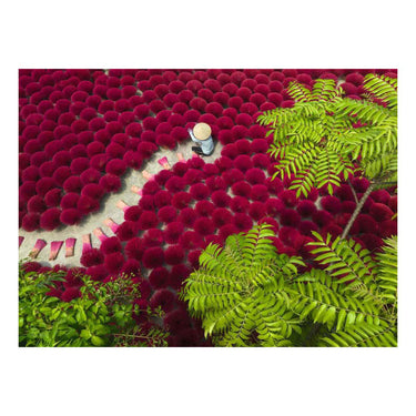 Ravensburger legpuzzel a sea of red - 500st.
