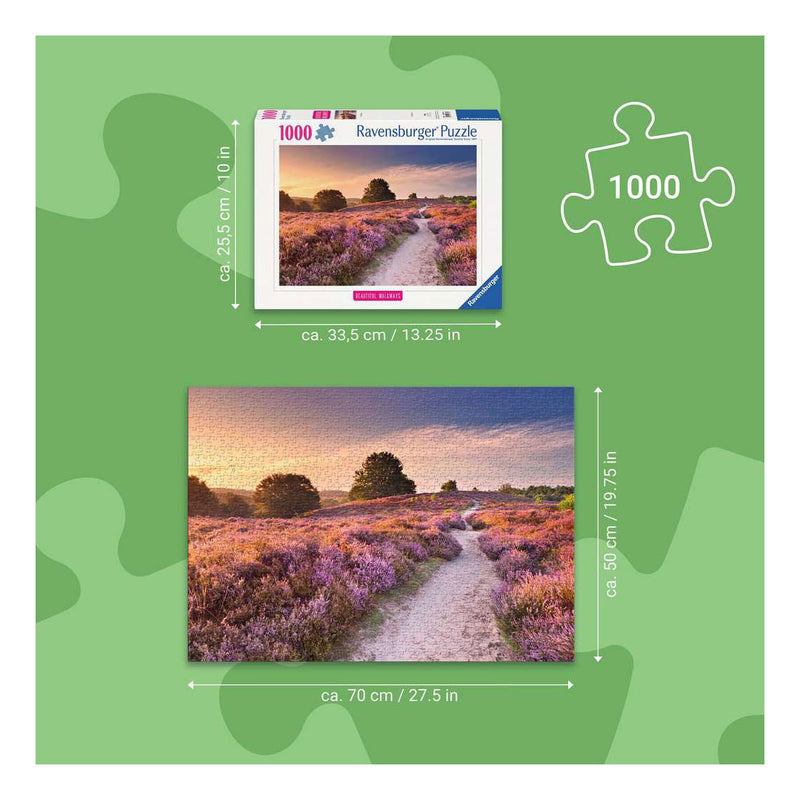 Load image into Gallery viewer, Ravensburger – legpuzzel – 1000 stukjes – 70 x 50 cm
