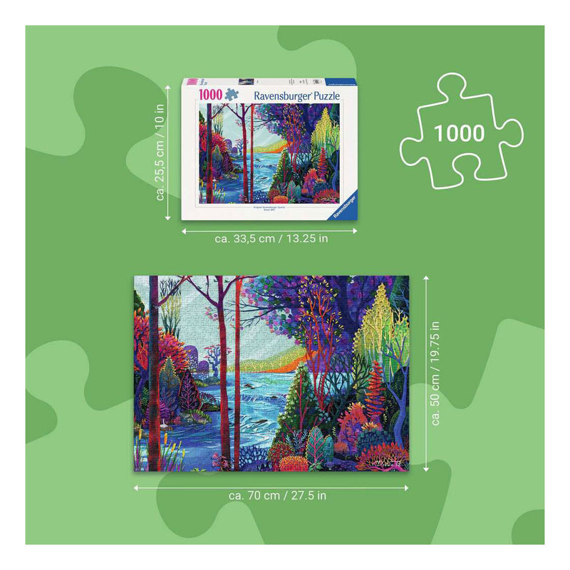 Load image into Gallery viewer, Ravensburger – legpuzzel – 1000 stukjes – 70 x 50 cm
