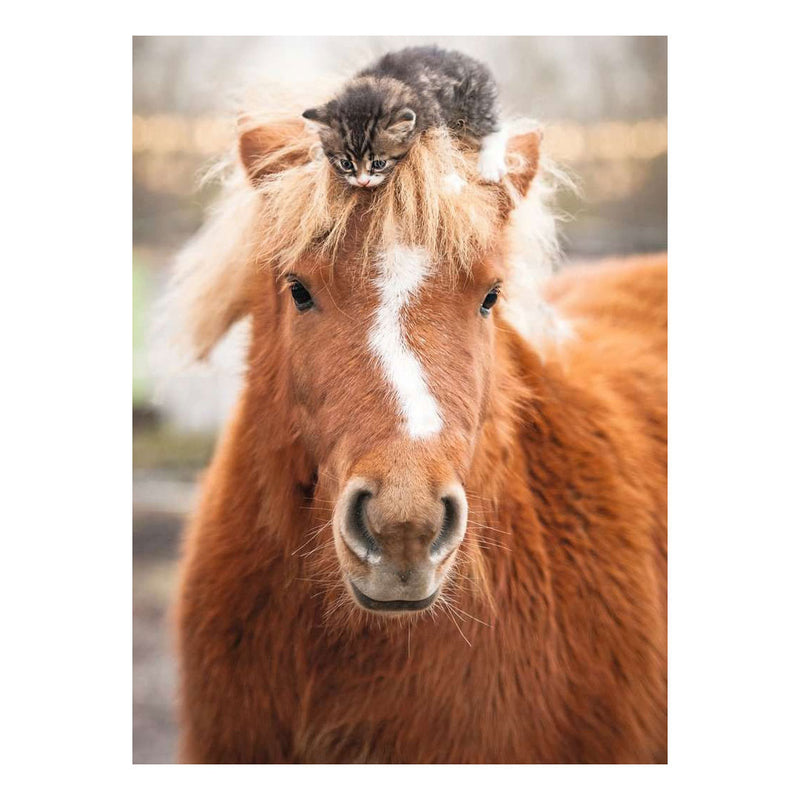 Load image into Gallery viewer, Ravensburger – pony and cat – legpuzzel – 500 stukjes
