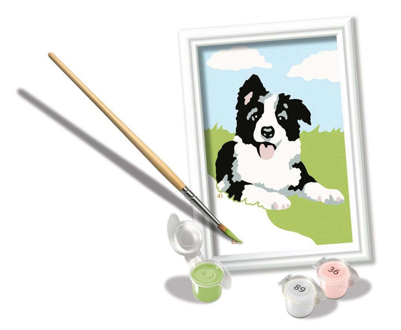 Load image into Gallery viewer, Ravensburger creart schilderen op nummer border collie

