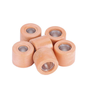 Leovince variateurrolset 19x15,5mm - 6,0gr