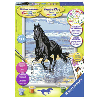 Schilderen op Nummer - Paard in de Branding