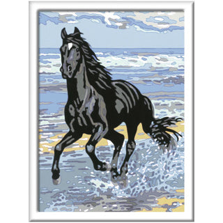 Load image into Gallery viewer, Schilderen op Nummer - Paard in de Branding
