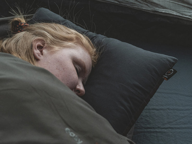 Load image into Gallery viewer, Easy camp raven pillow
