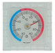 1004983 - vensterthermometer 7x7cm | 2 stuks