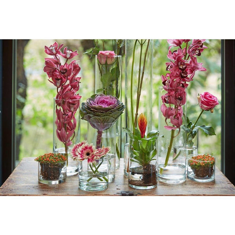 Load image into Gallery viewer, B-living cilindervaas glas ø9xh19cm
