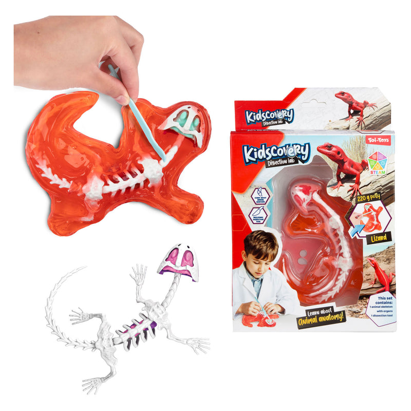 Afbeelding laden in galerijviewer, Toi-toys slijm uitgraafset dier met tool
