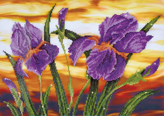 Brandunit diamond painting - diamond dotz iris sunset - 52x37 cm