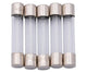 Dresselhaus glazen zekering glass fuses 6x32mm 5a f. american fahrz.