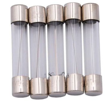 Dresselhaus glassicherung glass fuses 6.3x30 10a f. japanese vehicles.