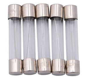 Dresselhaus glazen zekering glass fuses 6.3x30 20a f. japanese vehicles.