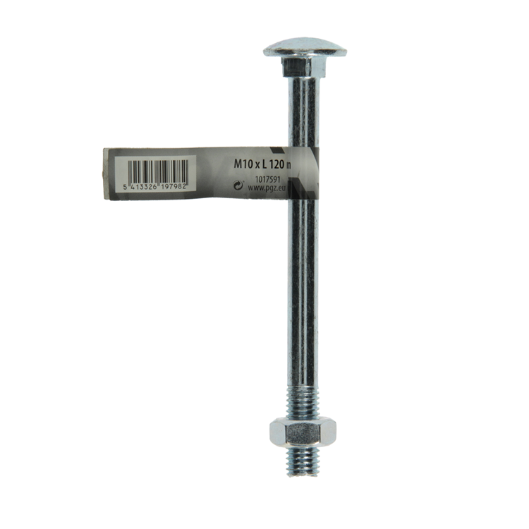 Afbeelding laden in galerijviewer, Mack 1017591 - houtbout + moer staal verzinkt1 st m10 x 120 mm | 10 stuks
