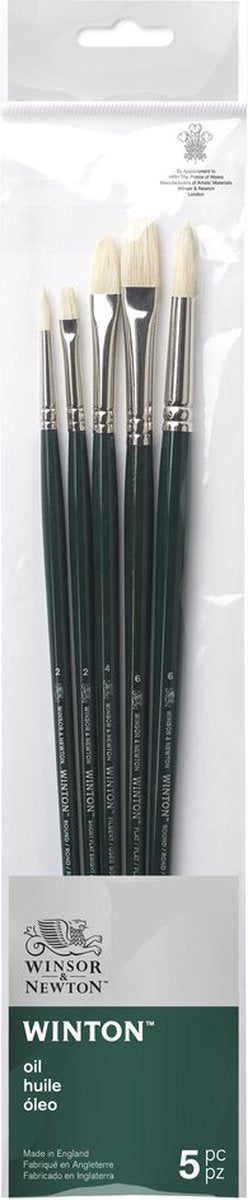 Winsor newton 5990611 winton oliepenselen set – 5 lange penselen voor olieverf (rond, flat filbert varkenshaar- rond 2, rond 6, short flat bright 2, plat 6 en filbert 4)