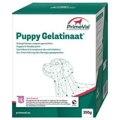 Load image into Gallery viewer, Primeval Gelatinaat hond
