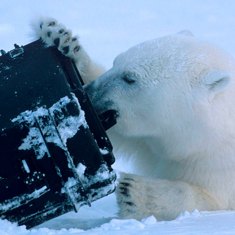 Load image into Gallery viewer, Explorer Cases 2717HL Koffer Zwart met Plukschuim
