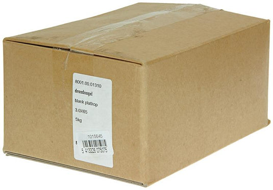 1015645 - doos 5 kg. nagels platte kop 3,0x65 mm | 2 stuks