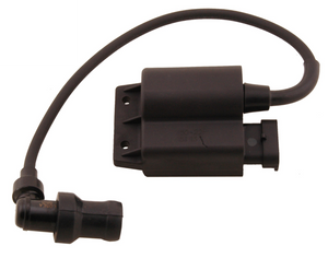 Diverse centraline oem kokusan onbegrensd | piaggio 4t 2v