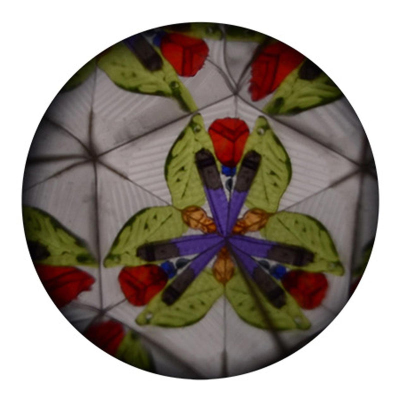 Load image into Gallery viewer, Johntoy Kaleidoscoop Zeedieren

