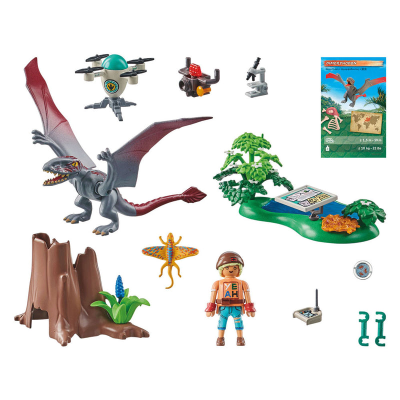 Load image into Gallery viewer, PLAYMOBIL Dinos Observatiepost voor Dimorphodon 71525
