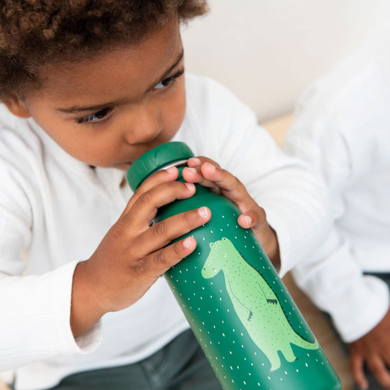 Load image into Gallery viewer, Trixie Drinkfles Mr. Corcodile, 350ml
