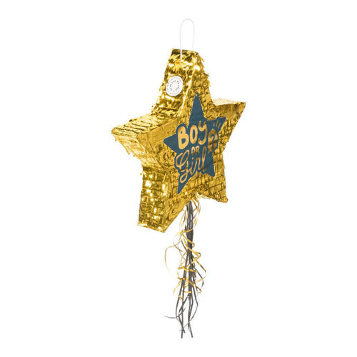 Boland trekpinata boy or girl