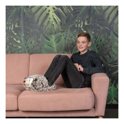 Noxxiez voetenwarmer egel