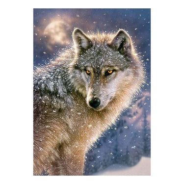 Castorland lone wolf – puzzel – 500 stukjes – satijnen afwerking – perfecte pasvorm – europese kwaliteit