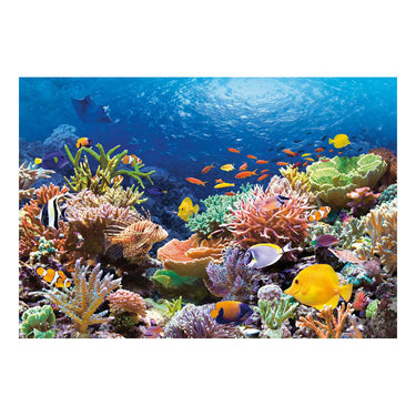 Castorland legpuzzel coral reef fishes, 1000st.