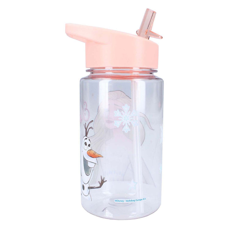 Load image into Gallery viewer, Vadobag frozen 2 drinkfles - drink up - 450 ml - schoolbeker
