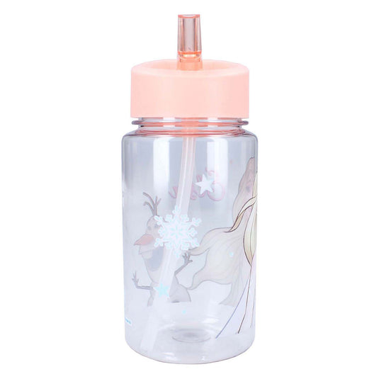 Vadobag frozen 2 drinkfles - drink up - 450 ml - schoolbeker