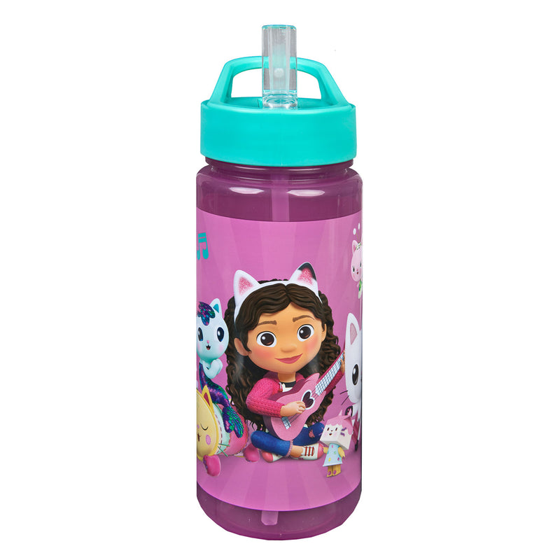 Load image into Gallery viewer, Undercover gabby's poppenhuis drinkfles, 500ml
