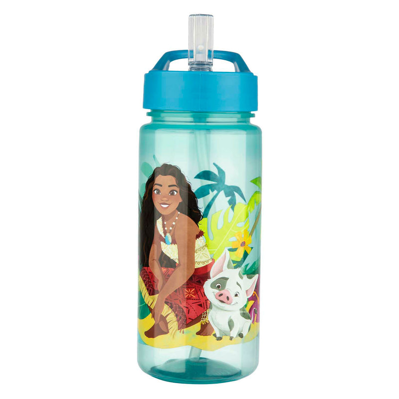 Load image into Gallery viewer, Disney vaiana serie - bidon - 500ml - veilig materiaal - nadruk hoofdbetaalfiguren
