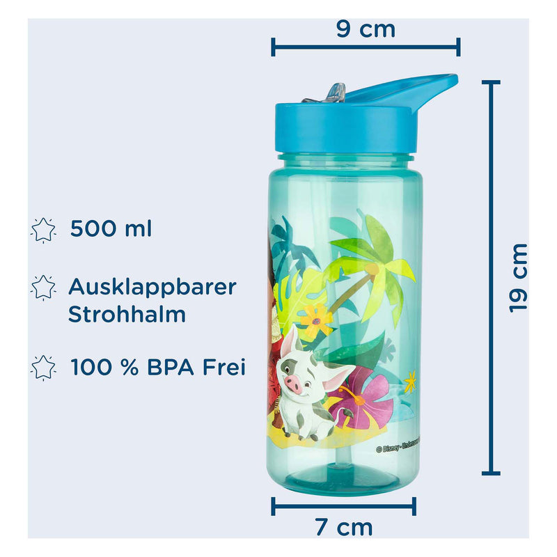 Load image into Gallery viewer, Disney vaiana serie - bidon - 500ml - veilig materiaal - nadruk hoofdbetaalfiguren

