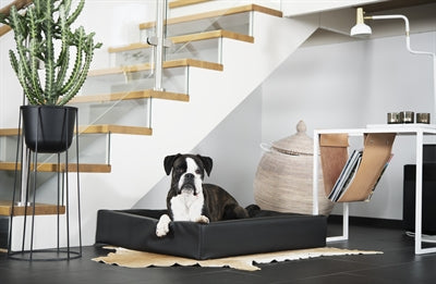 Load image into Gallery viewer, Bia bed hondenmand original zwart
