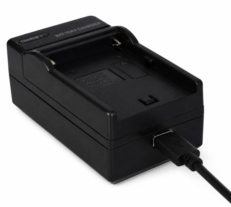 Load image into Gallery viewer, Falcon eyes acculader sp-chg ii voor np-f batterijen
