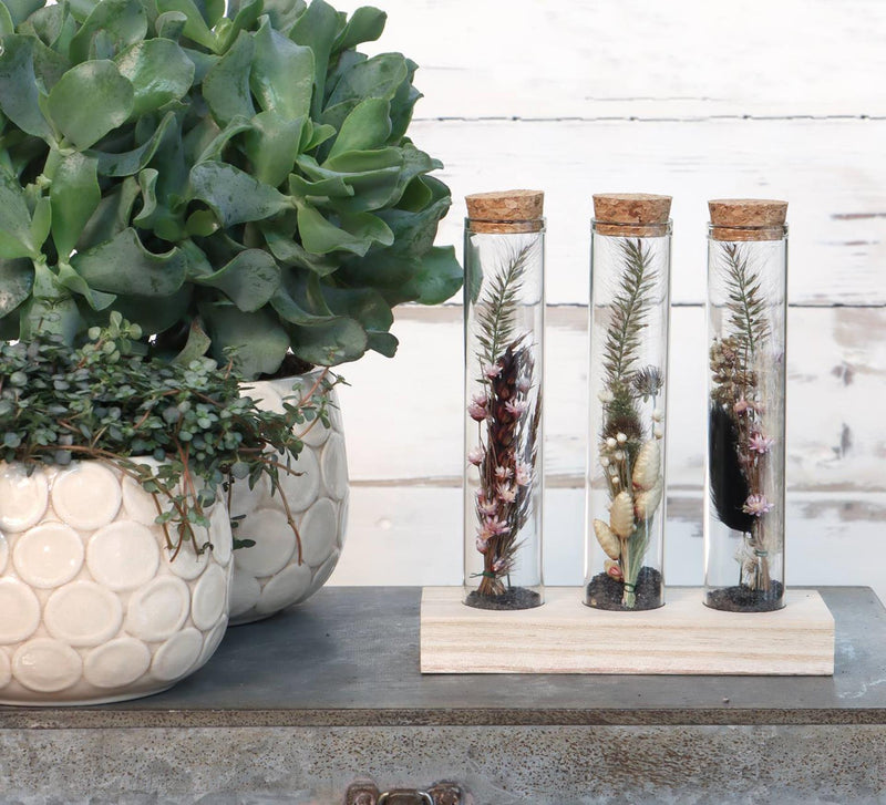 Load image into Gallery viewer, Ideas 4 seasons houten houder met 3 reageerbuizen met kurk stopper ã˜3x15cm

