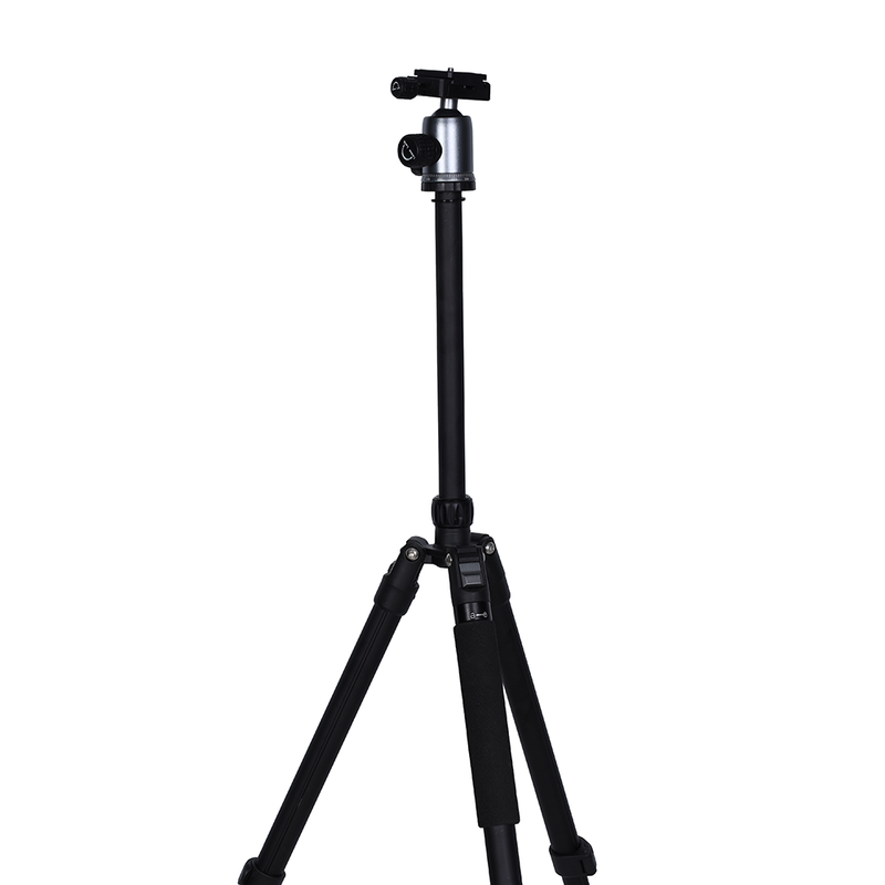 Load image into Gallery viewer, Nest statief wf-6627 + balhoofd
