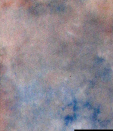 Falcon eyes achtergronddoek s122 2,9x7 m