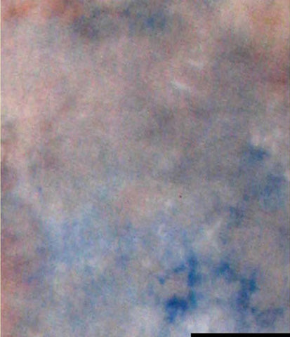 Load image into Gallery viewer, Falcon eyes achtergronddoek s122 2,9x7 m
