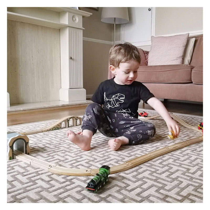 Load image into Gallery viewer, Bigjigs houten trein flying scotsmann
