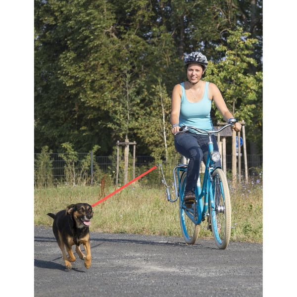 Load image into Gallery viewer, M-wave springer honden-fiets-beugel
